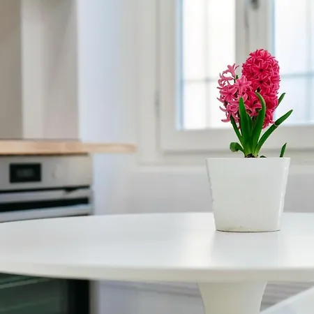 Hostini Como- Downtown Apartment *